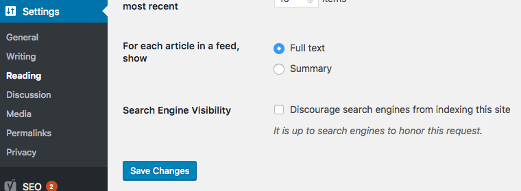 Search Engine Visibility Settings